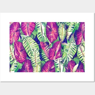 Tropical plants nature background Posters and Art